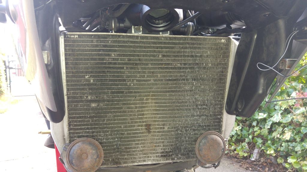 A1 radiator Kawasaki World